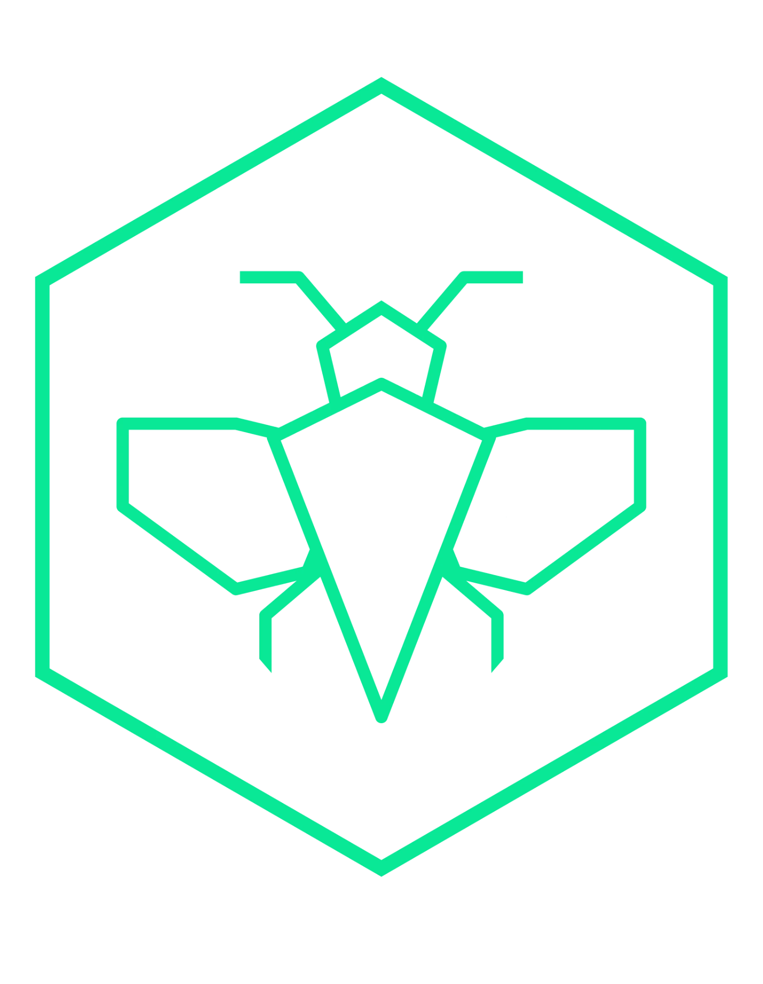 Logotipo de Split2Bee